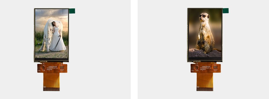 3點5寸詳情 3點5寸詳情